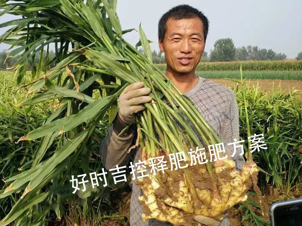 ���r�M�⣬Ч���ܸܵģ�