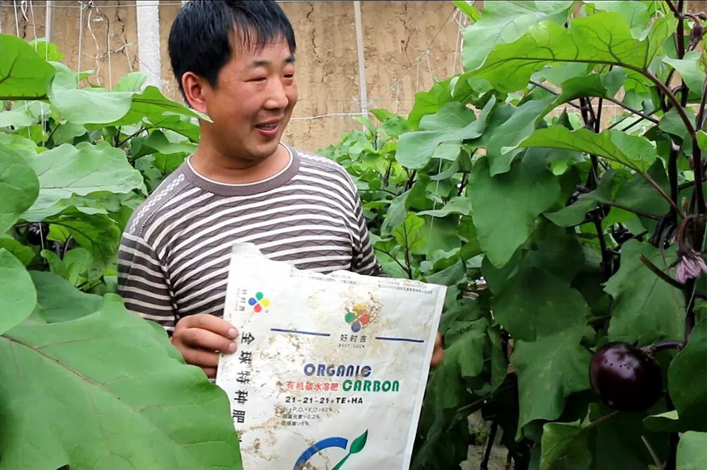 �ЙC(j��)̼ˮ�ܷ�ʹ��Ч��