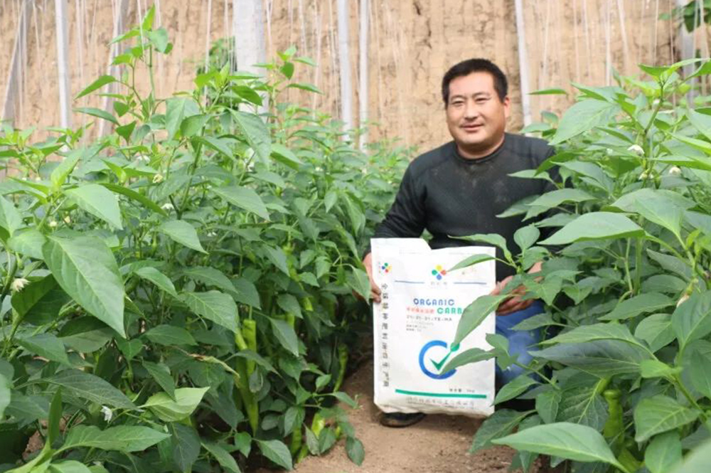 �ЙC(j��)̼ˮ�ܷ�ʹ��Ч��