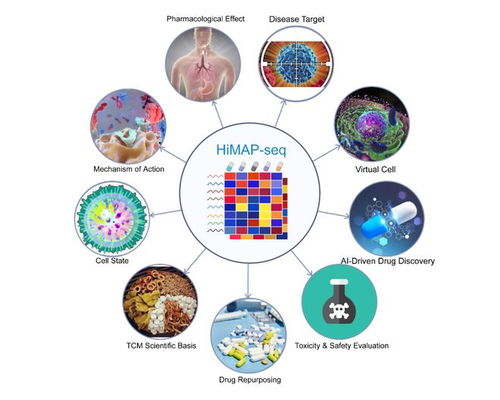 王棟、鄧赟與許俊泉團隊開發HiMAP-seq新技術并構建三億量級藥物基因表達數據庫CIGS，引領生物技術新前沿